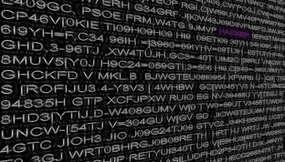 开云体育首页-西甲球队利用热图数据分析优化进攻路线分布，西甲热身赛赛程