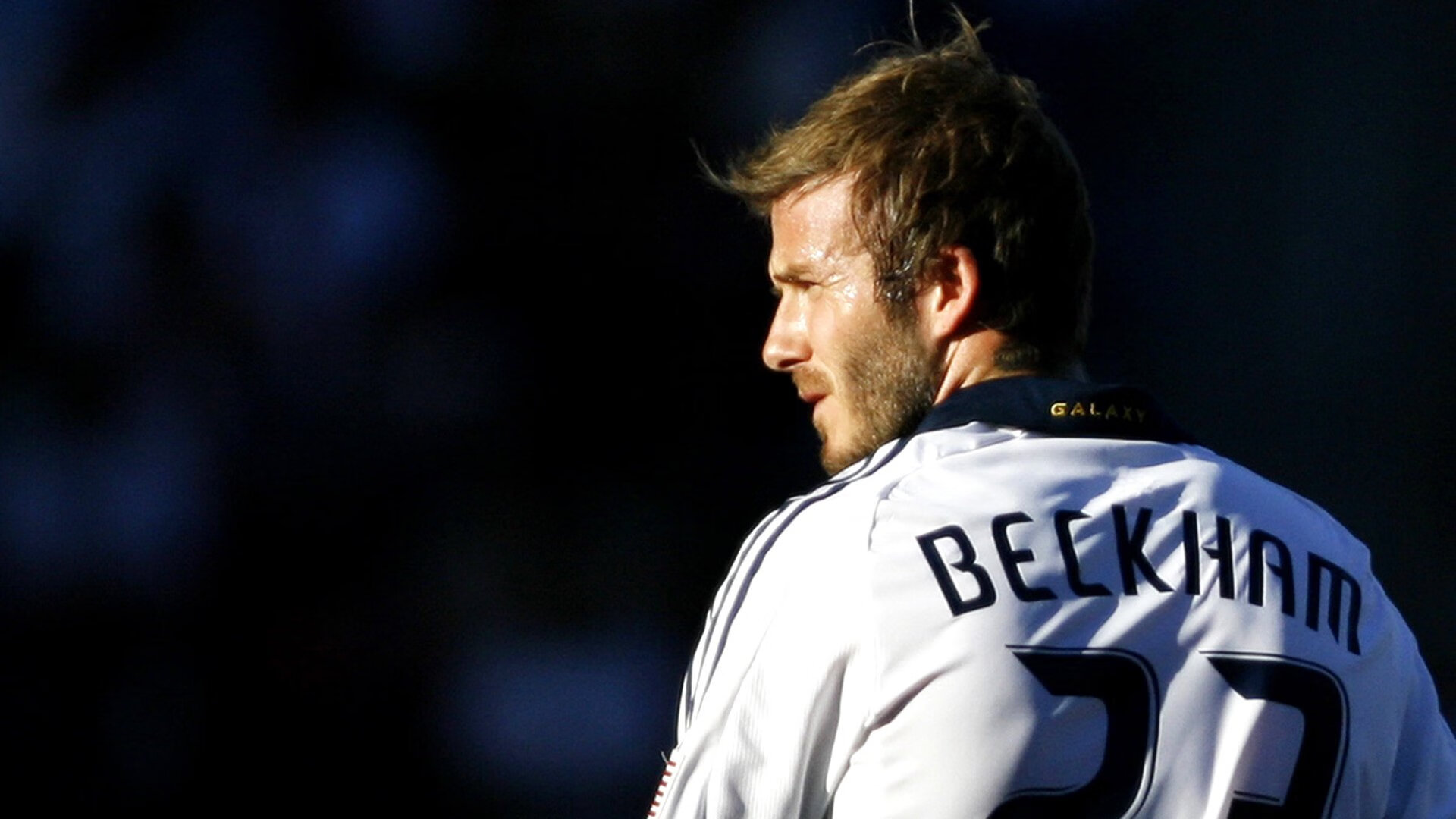 “舞动梦想!金牛区城北体育馆上演世界级运动舞蹈大秀”